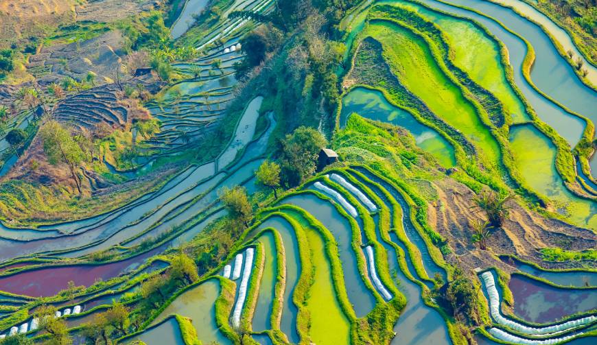 走进荆门TVC拍摄：解锁本地化场景与创意镜头的完美融合